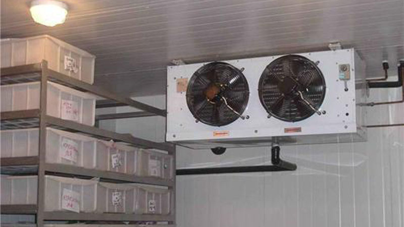 冷冻库杀菌的方法有哪些？